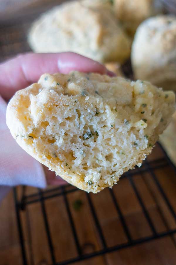 potato pan rolls, gluten-free