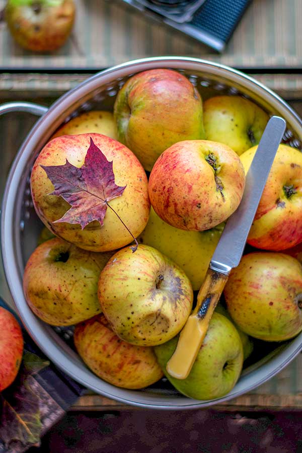 apples in a strainer with a knife