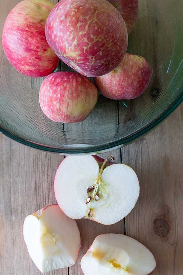 apples in a bowl and sliced apples