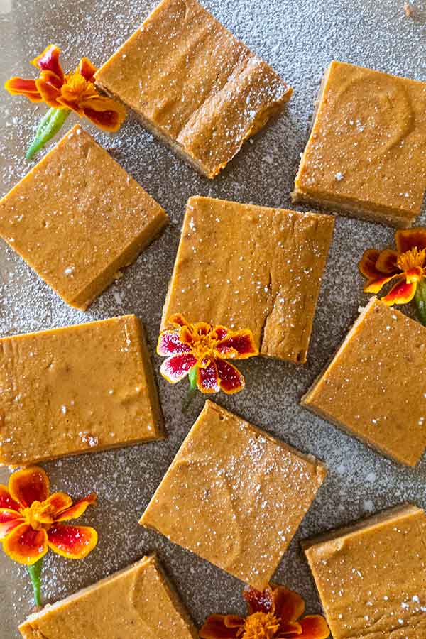 over view of grain-free pumpkin pie bars dusted with powdered sugar