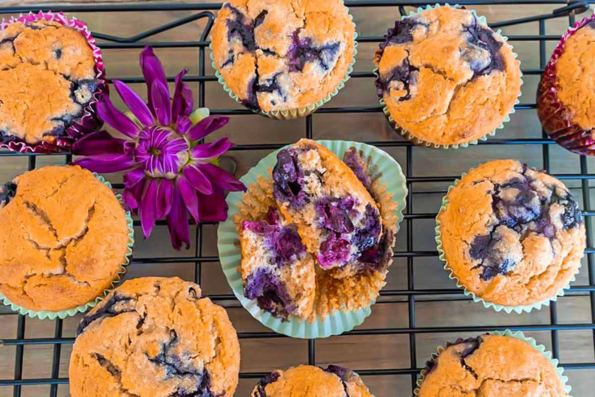 grain free muffins with blueberries on a cooling rack