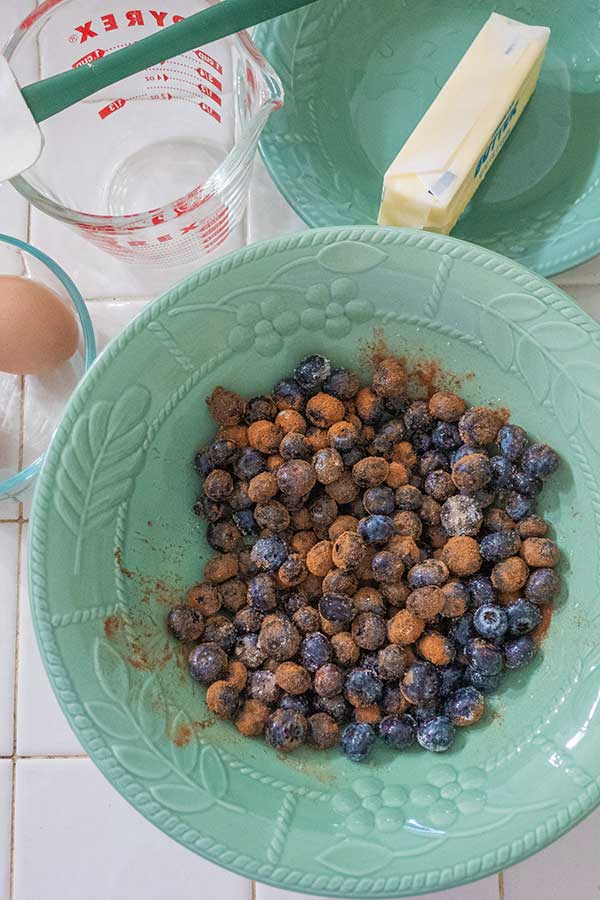 blueberries coated in cinnamon sugar in a bowl