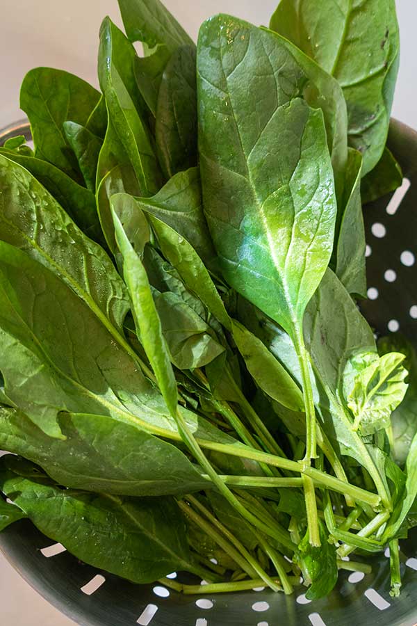 fresh spinach leaves in a colander