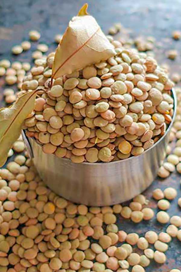 lentils in a measuring cup with bay leaf