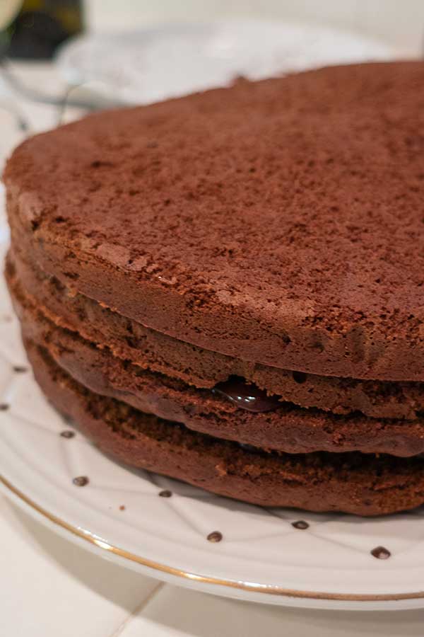 layered gluten-free sacher torte