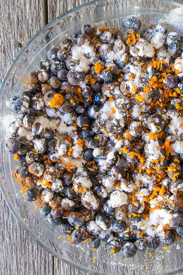 fresh blueberries tapioca and orange zest in a bowl