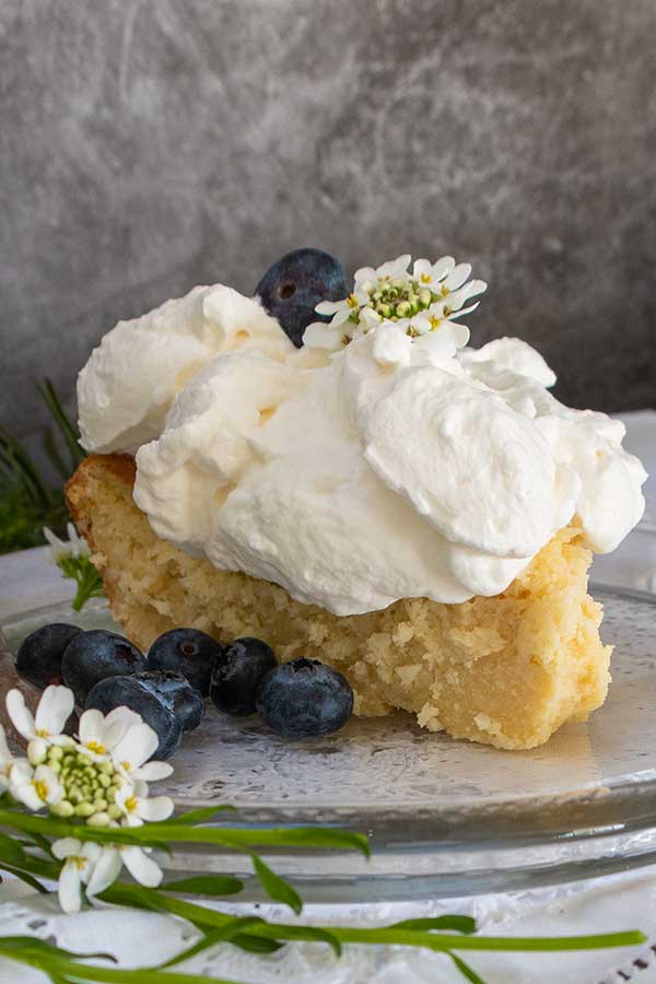 a slice blender coconut pie with whipped cream