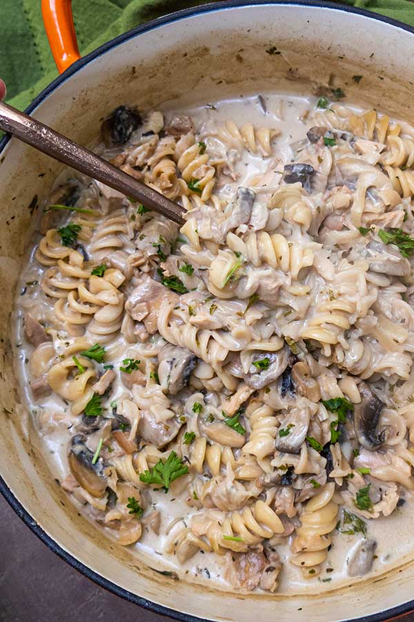 turkey and mushrooms in a stroganoff sauce with gluten free short cut pasta