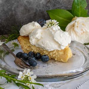 Easiest Gluten-Free Blender Coconut Pie