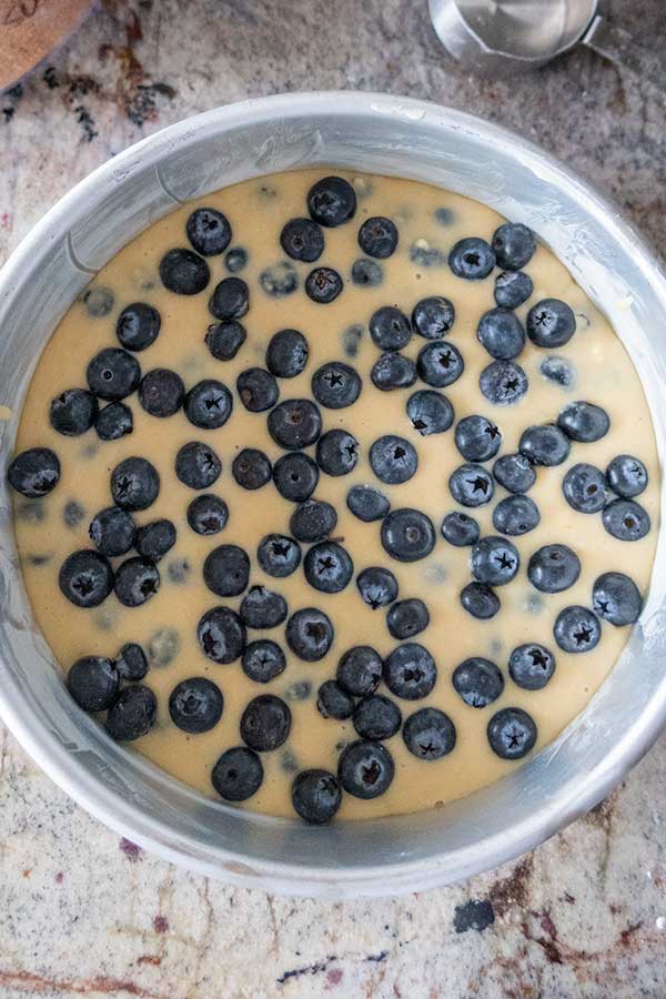 blueberry cake batter in a cake pan