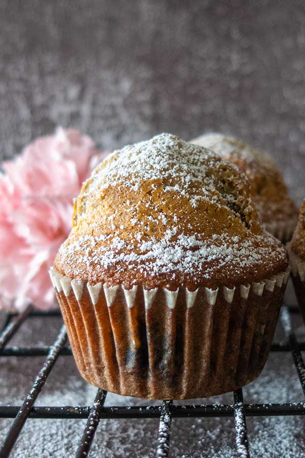 single muffin dusted with powdered sugar