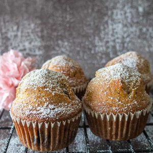 Very Best Gluten-Free Blender Muffin Recipe