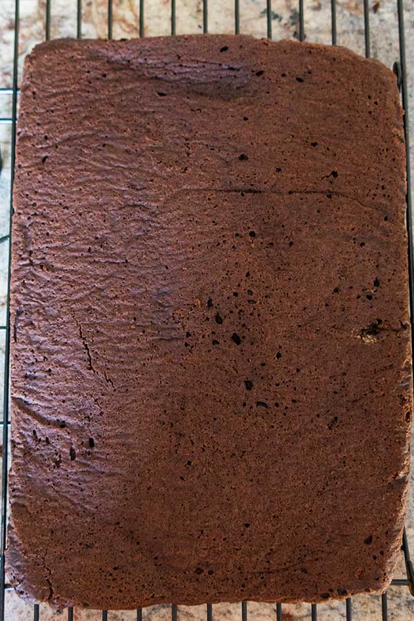  gluten free sheet of brownie cake 