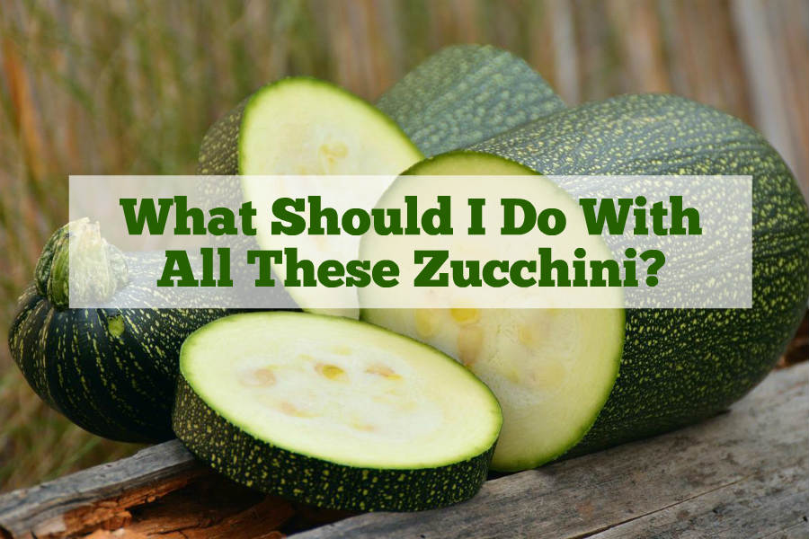 What Should I Do With All These Zucchini? - Only Gluten Free Recipes