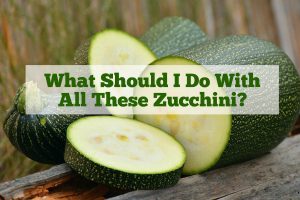 sliced fresh zucchini