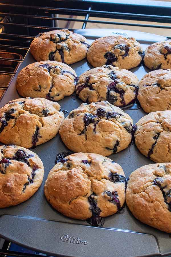 baked blueberry lemon muffins in a pan