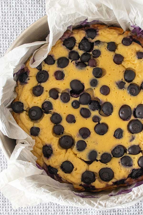 baked cake with blueberries in a cake pan