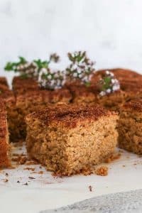 piece of gluten free snickerdoodle oat snacking cake