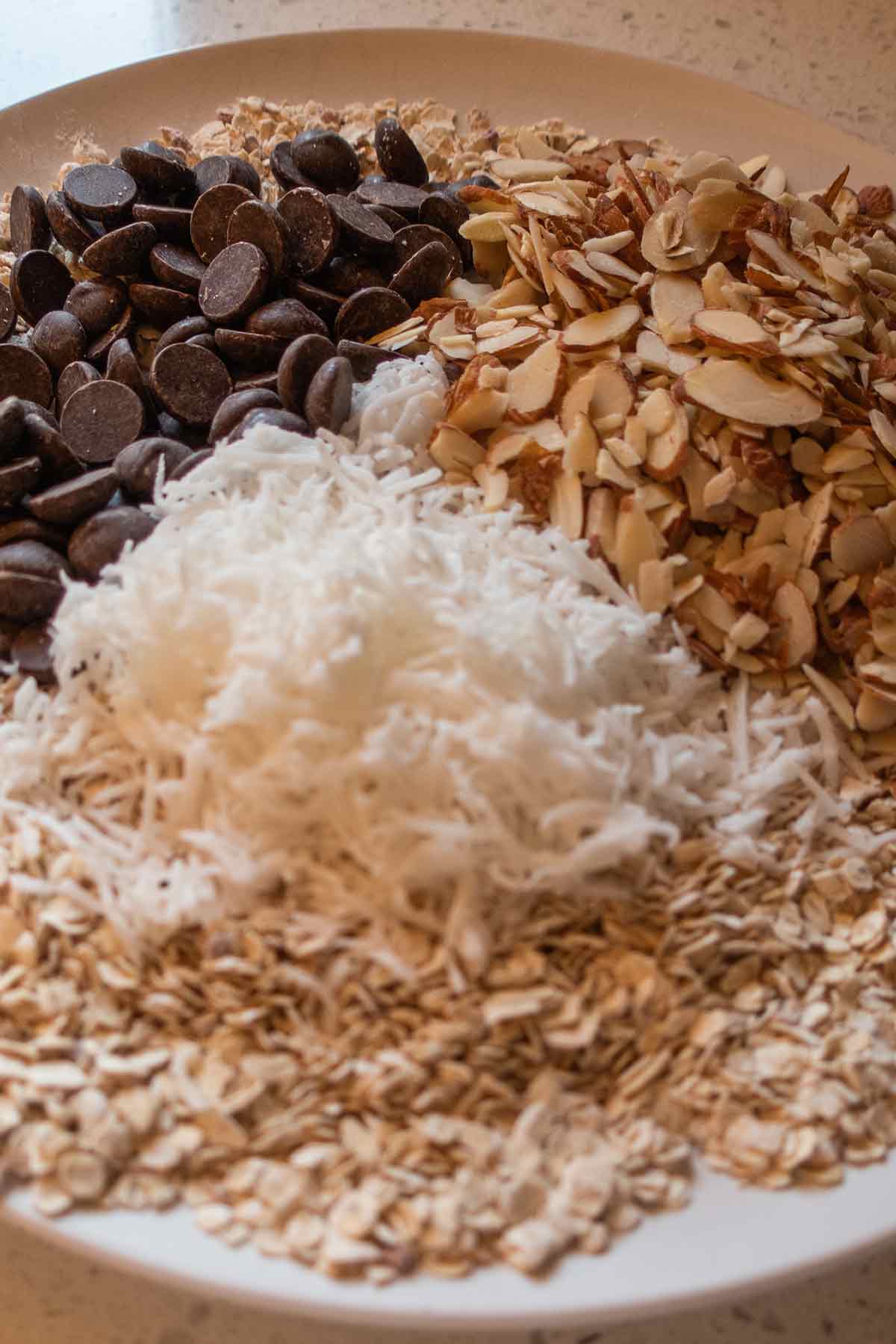 oats, chocolate chips, shredded coconut, and nuts on a plate