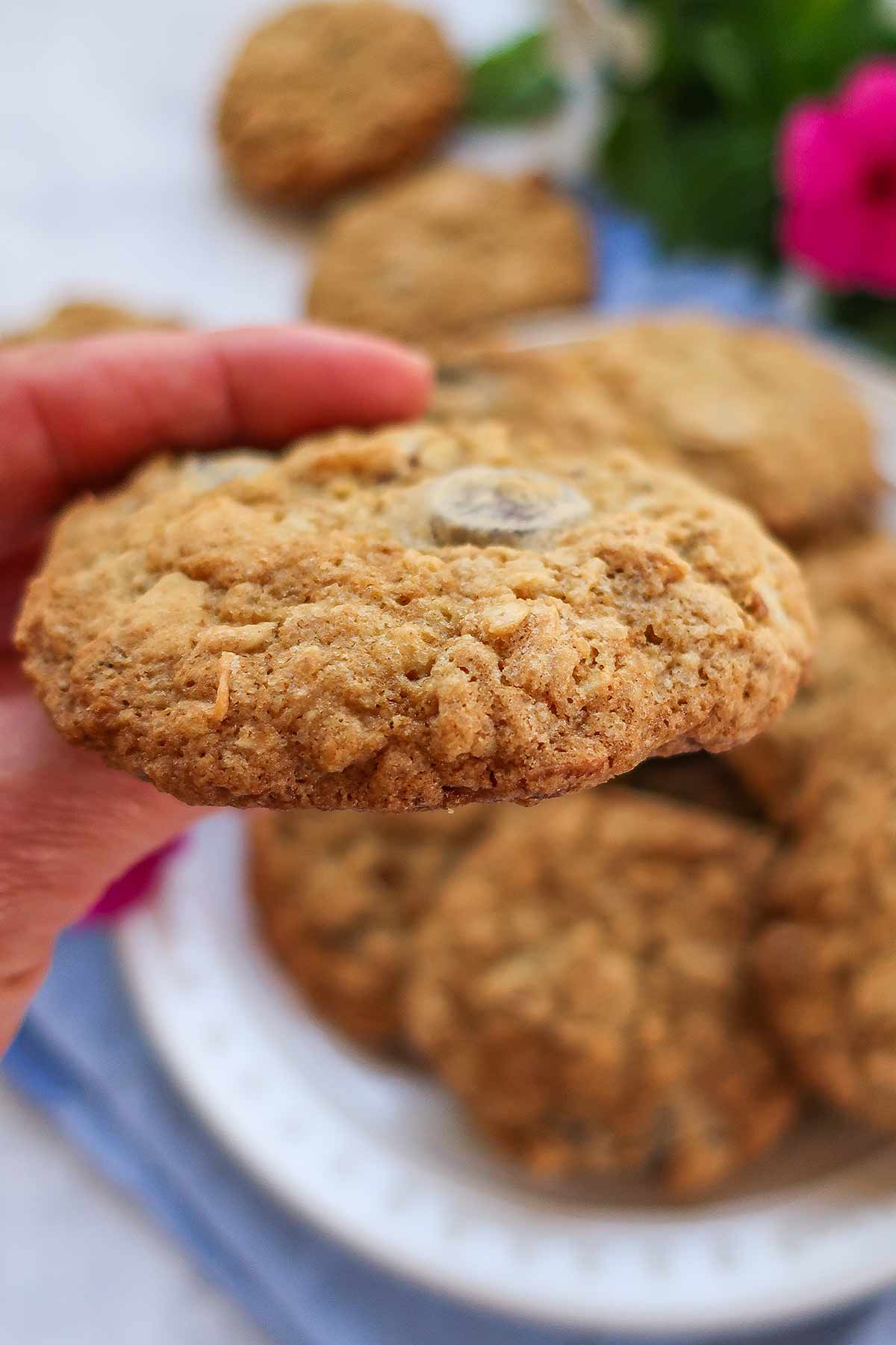 hand holding a cowboy cookie