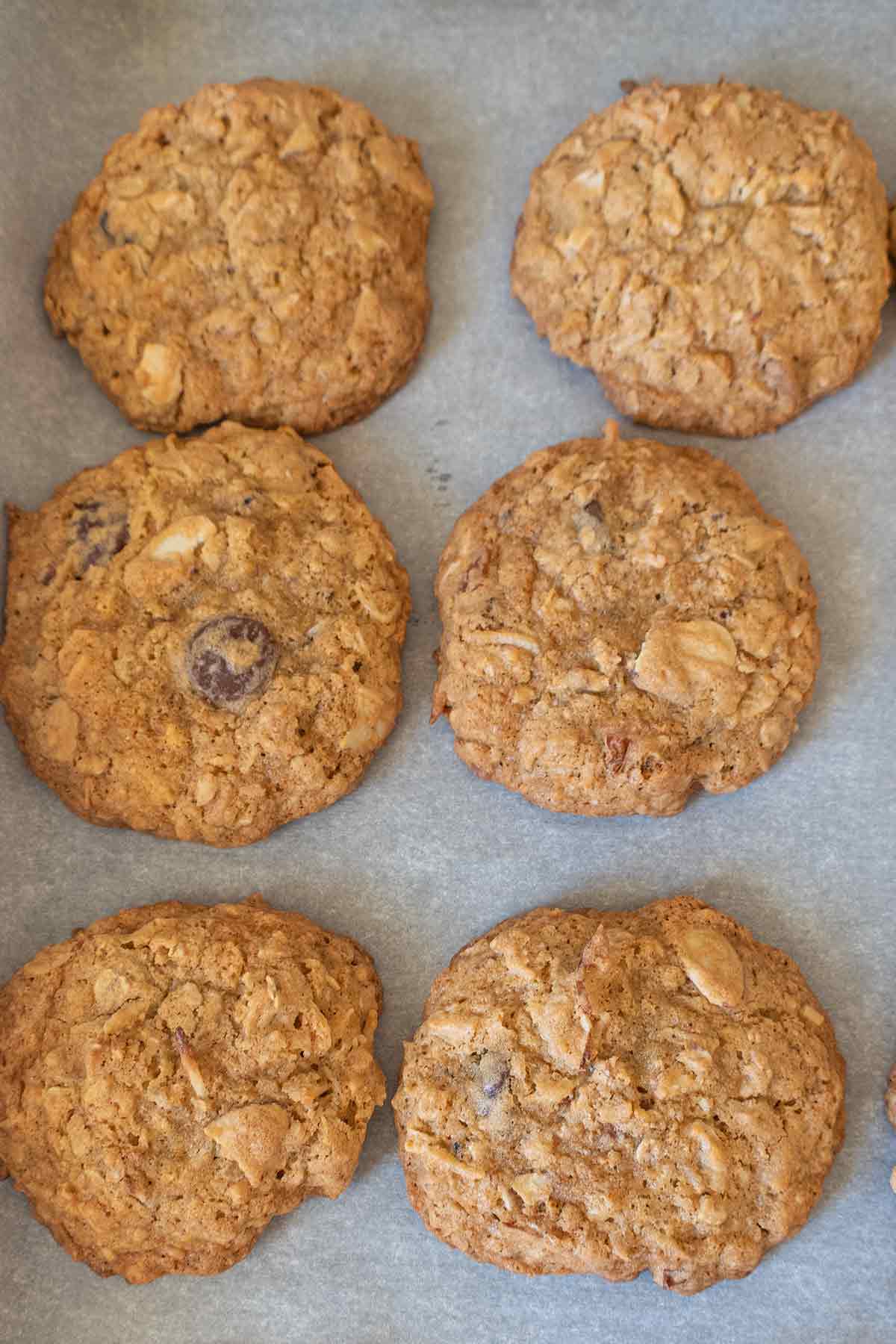 baked gluten free cowboy cookies on a cookie sheet