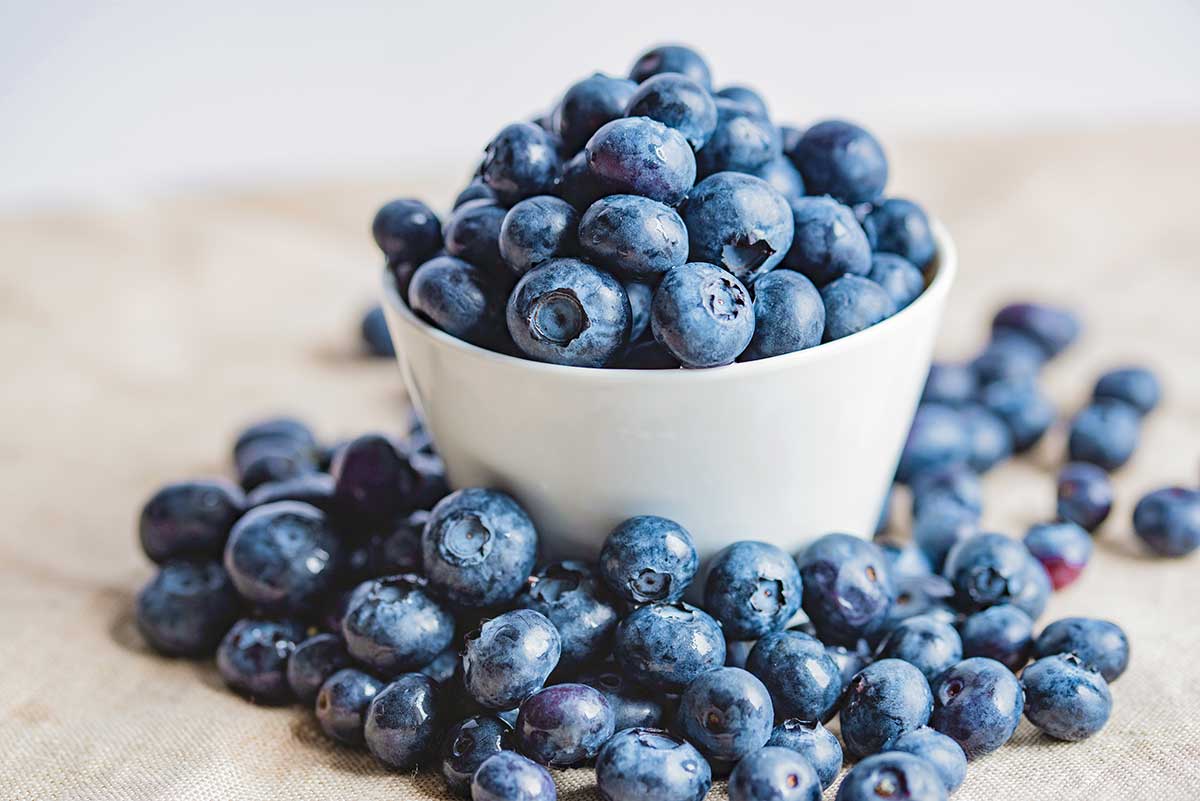 fresh blueberries in a white bowl