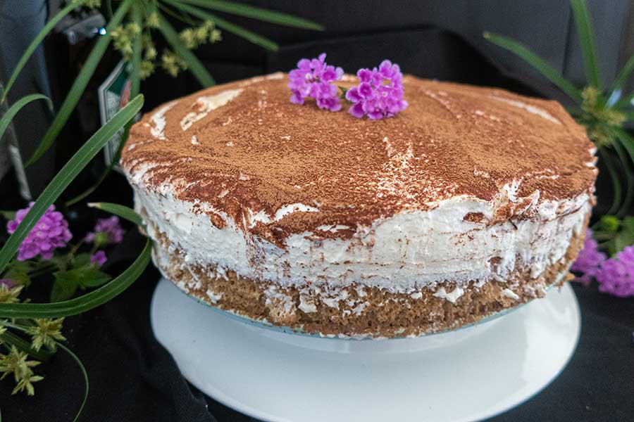 irish tiramisu cake dusted with cocoa on a cake platter 