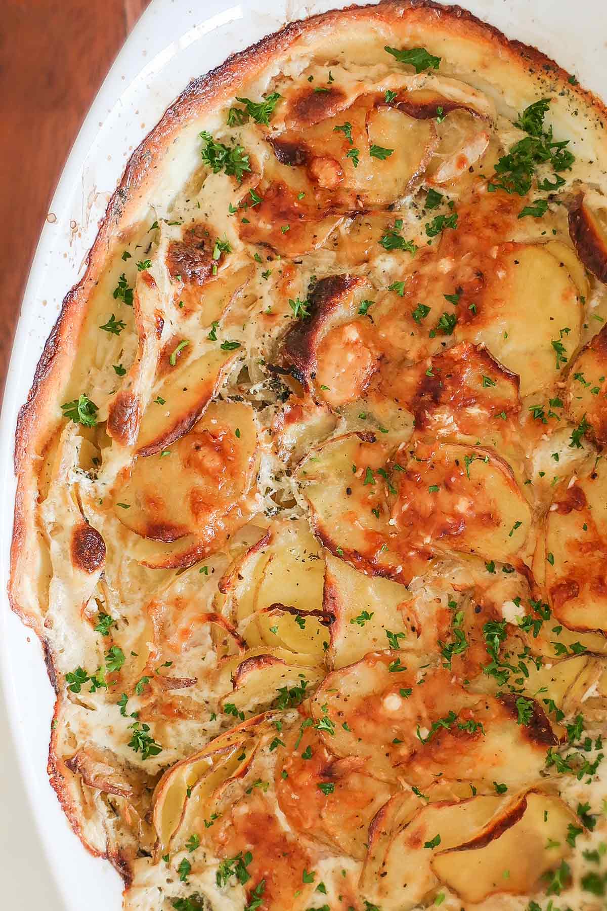 overview of baked scalloped potatoes in a casserole dish
