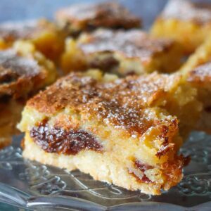 Gluten Free Raisin Lemon Bars