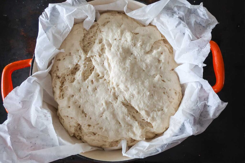 portuguese dough doubled in a pot after proofing