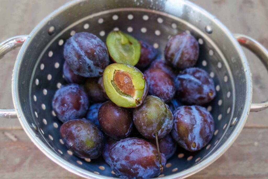 prune plums in a colander