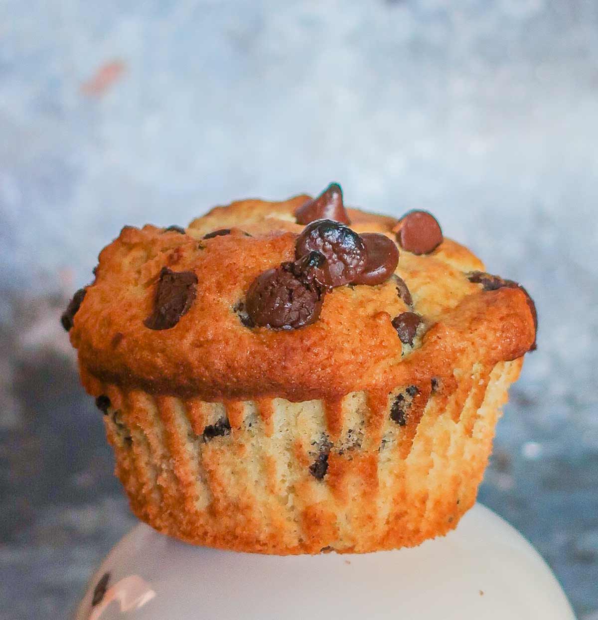 gluten free French chocolate chip muffin bakery style