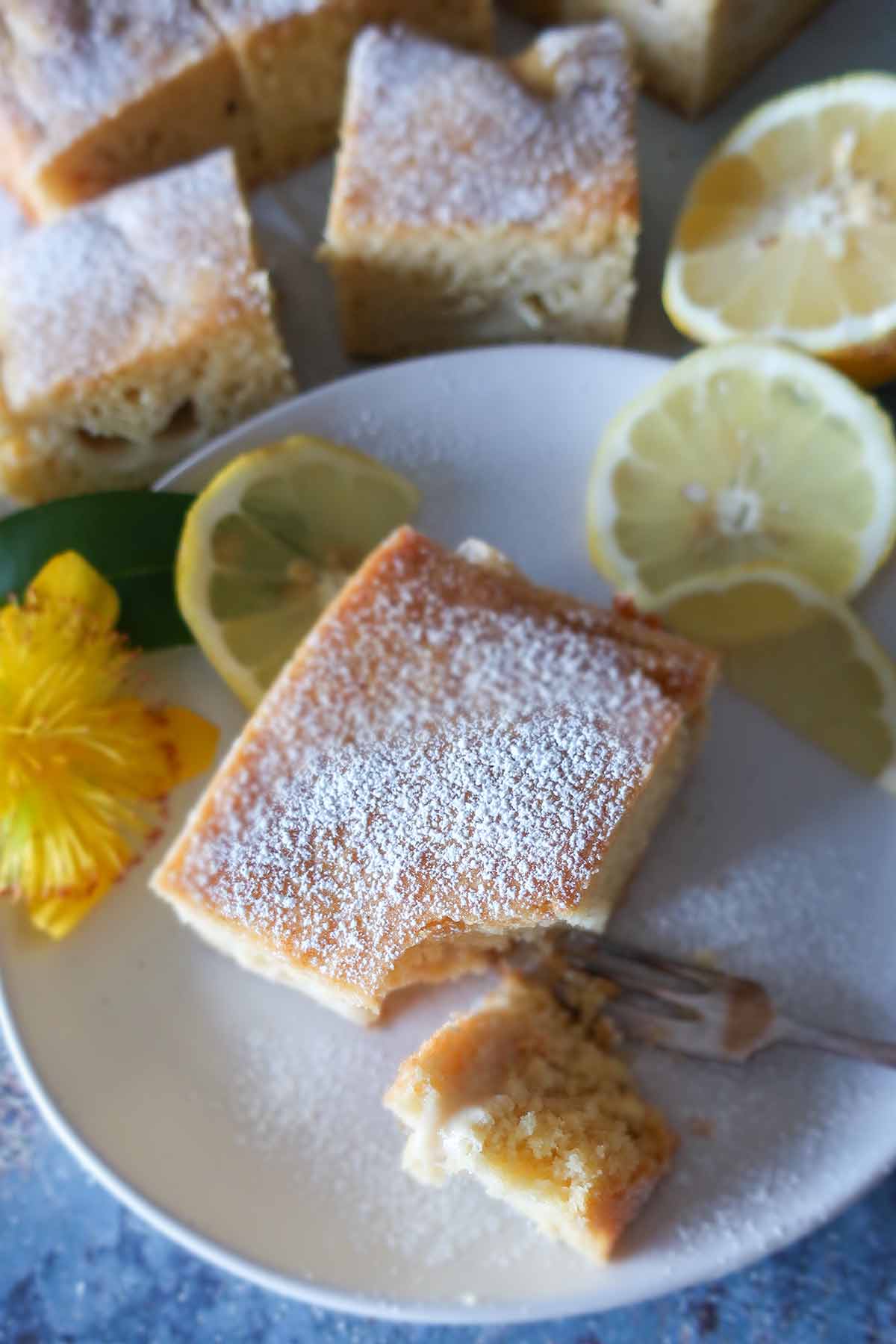 slices of gluten-free vanilla cake squares