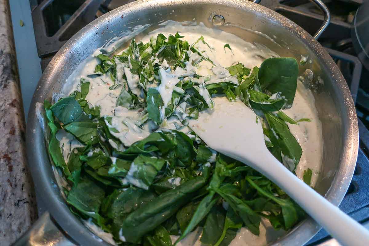 fresh spinach added to hot cream cheese sauce to wilt