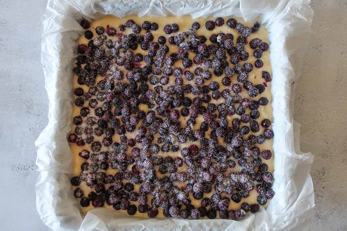 cake batter topped with blueberries in a square pan