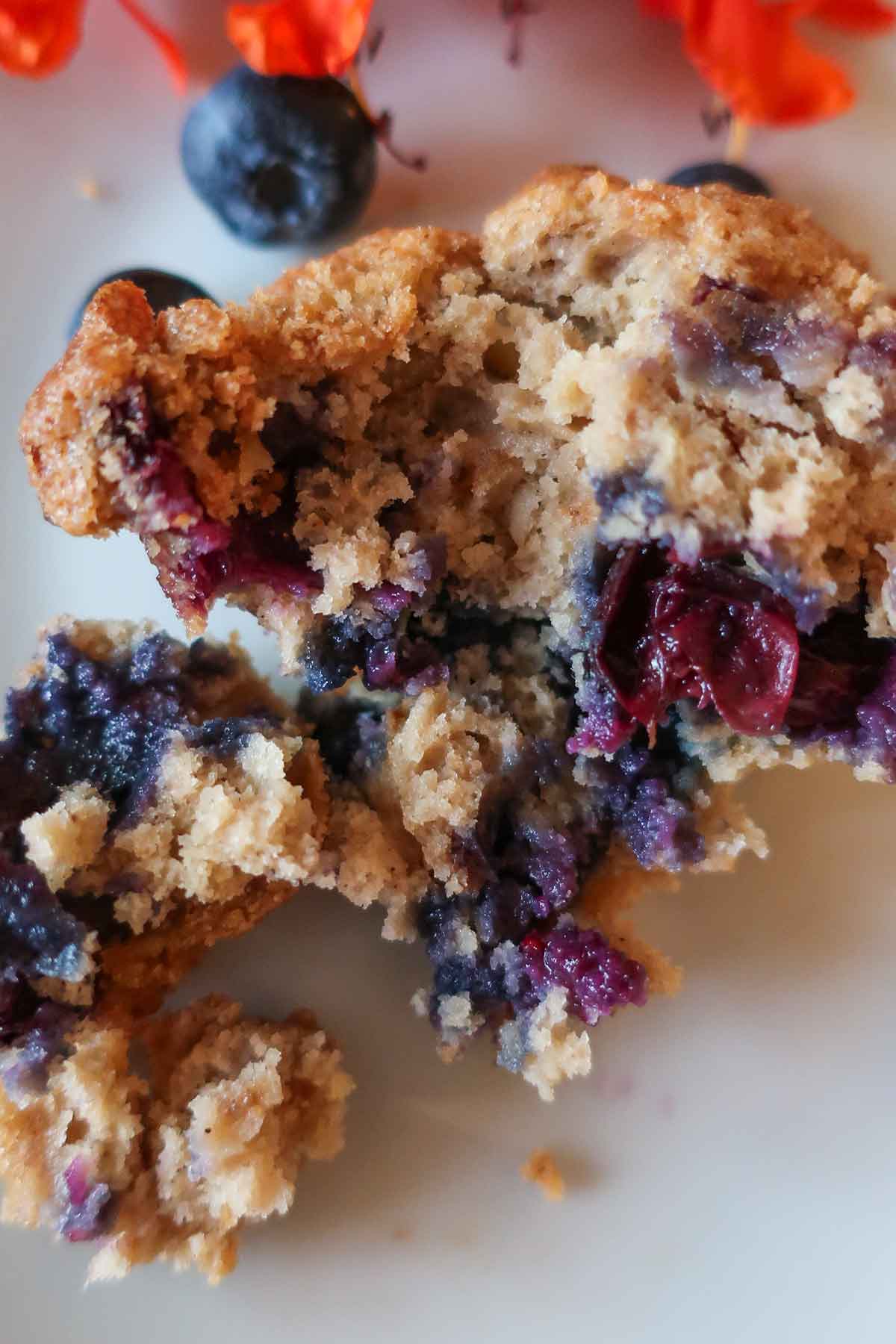 showing inside of a baked gluten free blueberry walnut muffin