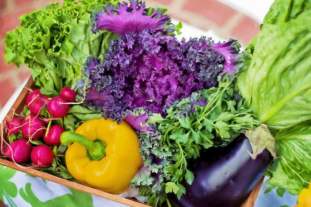 basket filled with seasonal May veggies