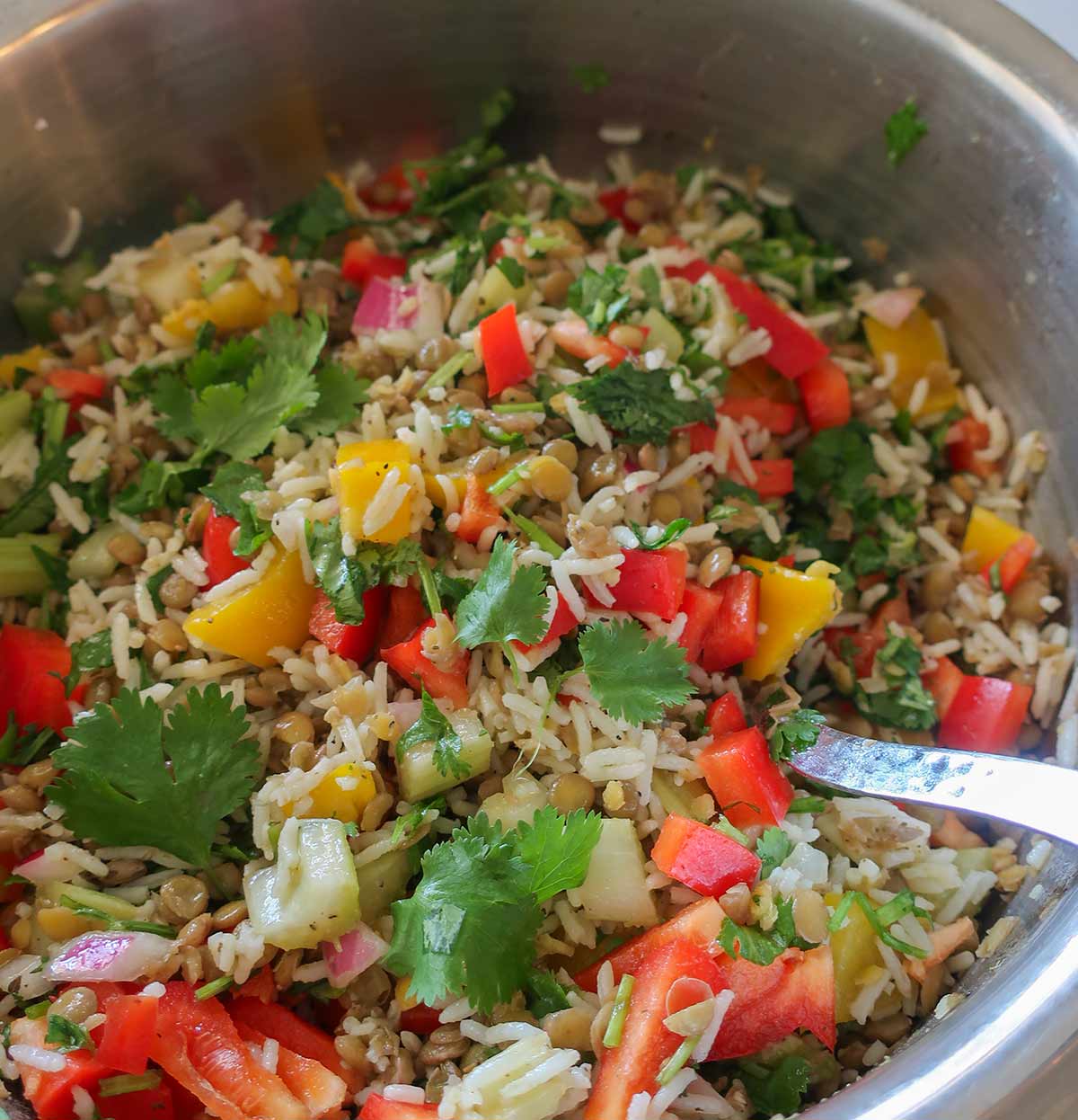 Lenil and rice salad with fresh veggies in a bowl