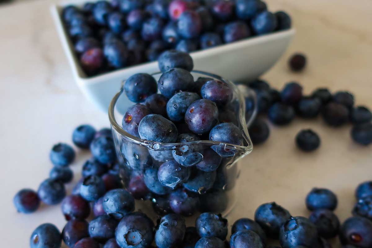 Fresh blueberries displayed in a glass jar and white bowl—perfect for gluten-free baking or smoothies