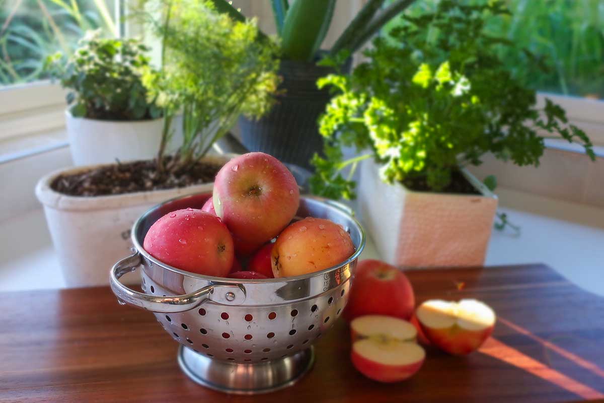 wet apples in a colander with fresh herbs in the background, choosing the right apple
