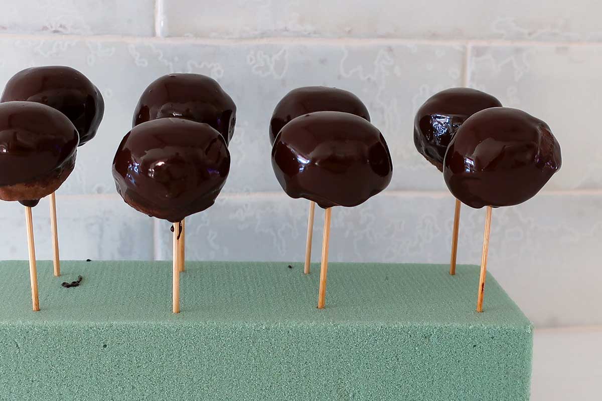 cake pops dipped in chocolate and placed upright in a styrofoam block