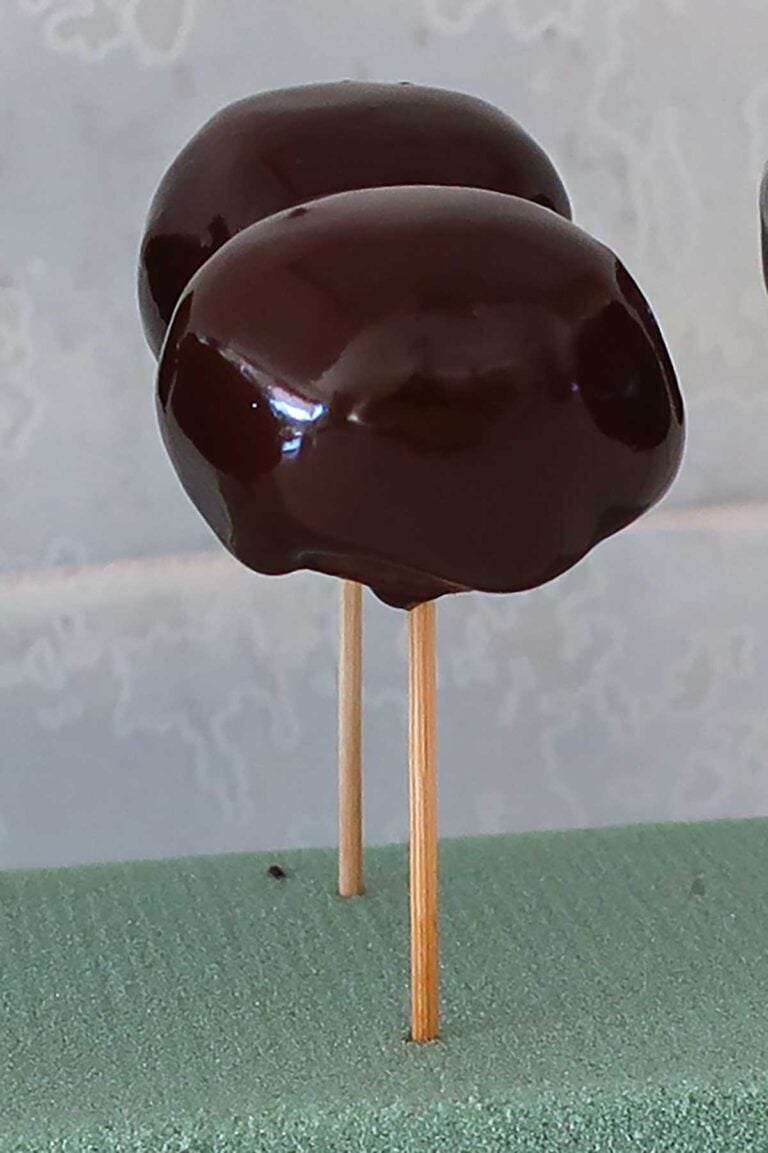 perfect grain free no bake cake pop with chocolate coating standing upright in foam