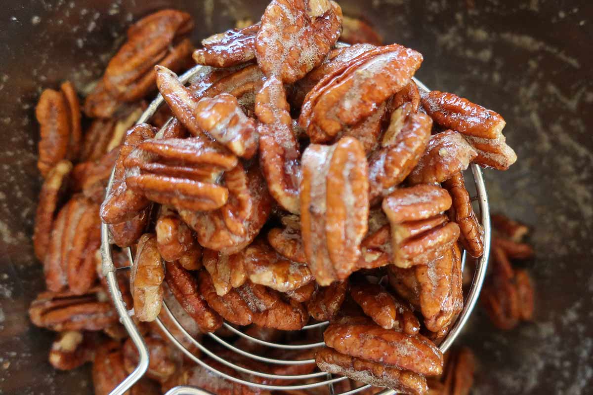 Sweet and salty maple-glazed pecans with brown sugar, shown up close