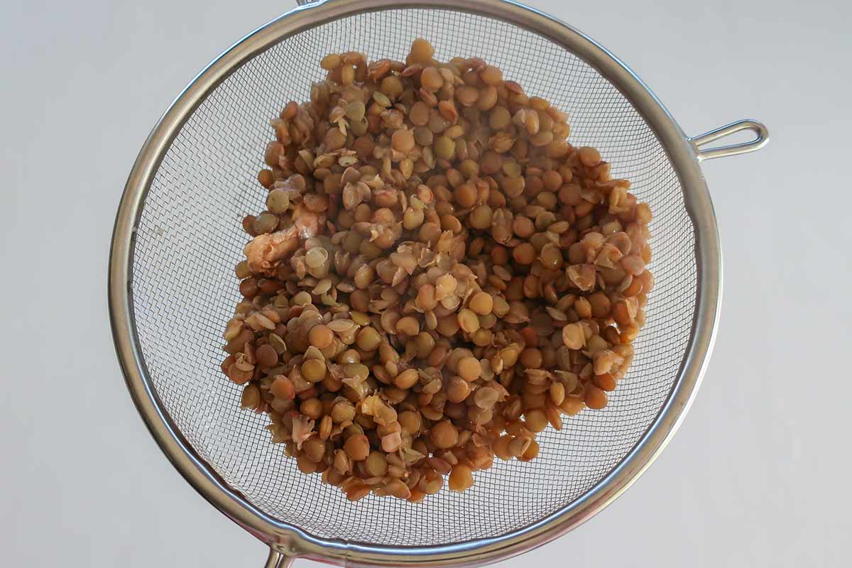 The secret ingredient: cooked lentils—once blended, they completely disappear into these chocolate lentil energy bars.