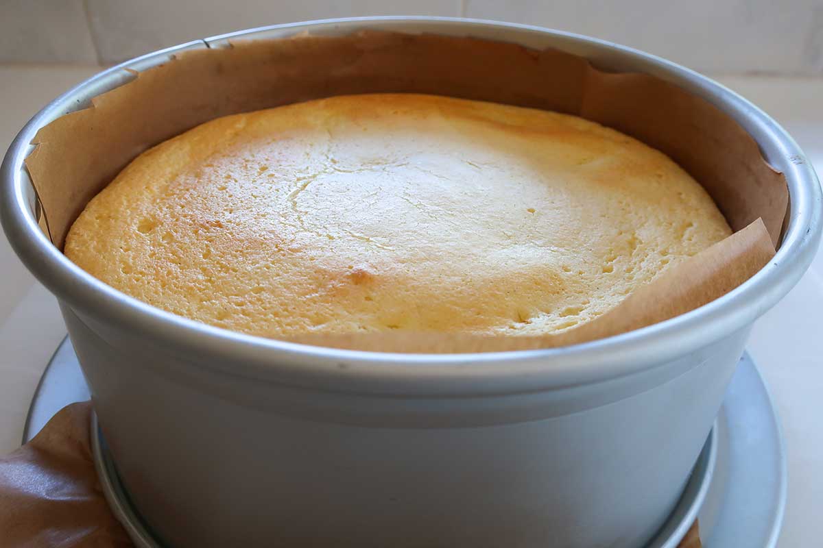 A golden-brown yogurt cake puffed high in an 8-inch springform pan inside the oven, showing significant rise.