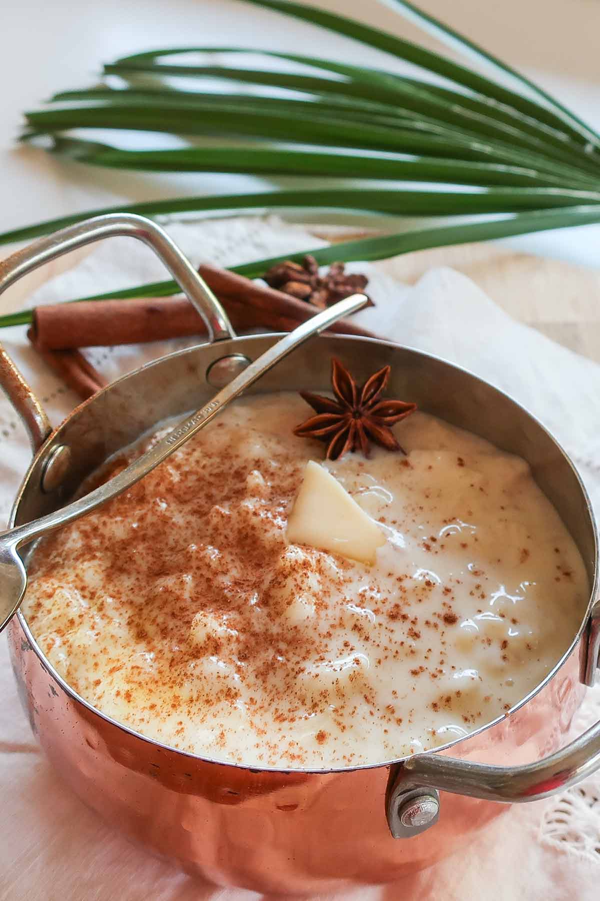 close up of creamy chilled rice pudding sprinkled with cinnamon
